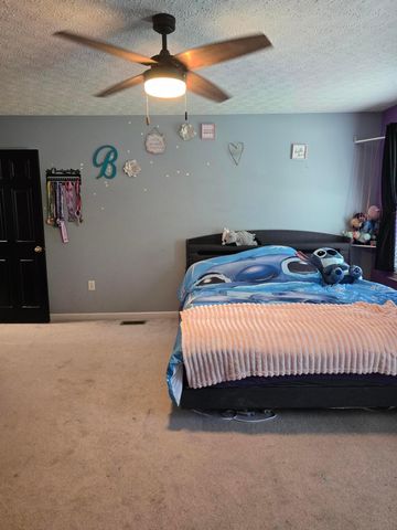 246 Weeping Willow Run Drive, Johnstown, OH 43031