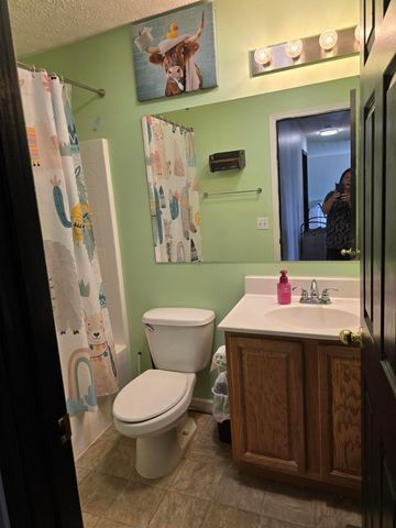 246 Weeping Willow Run Drive, Johnstown, OH 43031