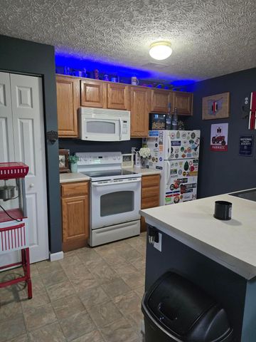 246 Weeping Willow Run Drive, Johnstown, OH 43031