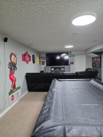 246 Weeping Willow Run Drive, Johnstown, OH 43031