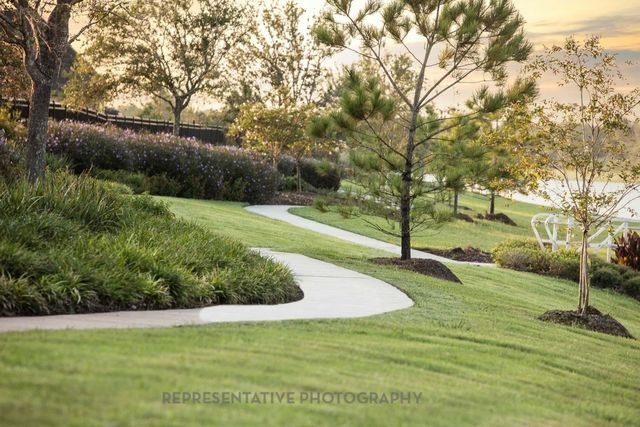 8911 Blue Grotto Lane, Manvel, TX 77578