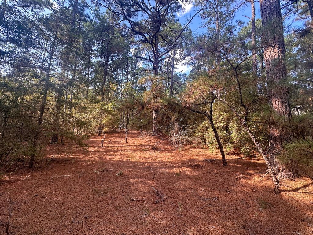 Lot 85 Hill Ridge DR, Bastrop, TX 78602
