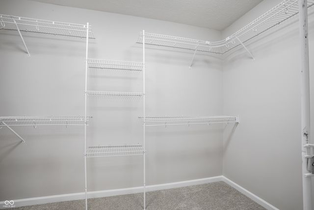10887 Parrot Court, Fishers, IN 46037