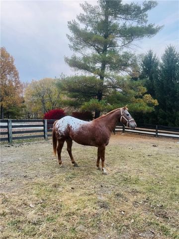 1675 Middletown Eaton Road, Middletown, OH 45042