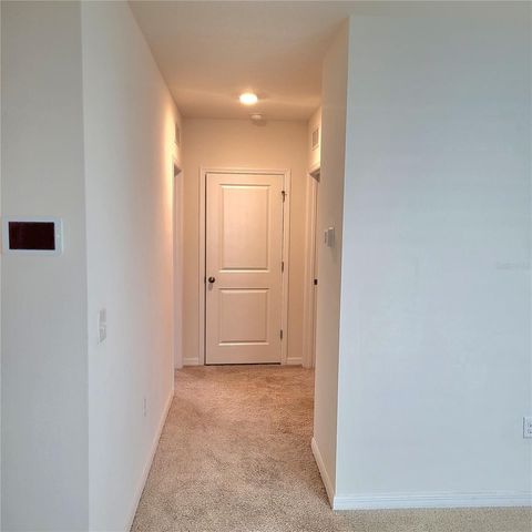 10836 TRAILING VINE DRIVE, Tampa, FL 33610
