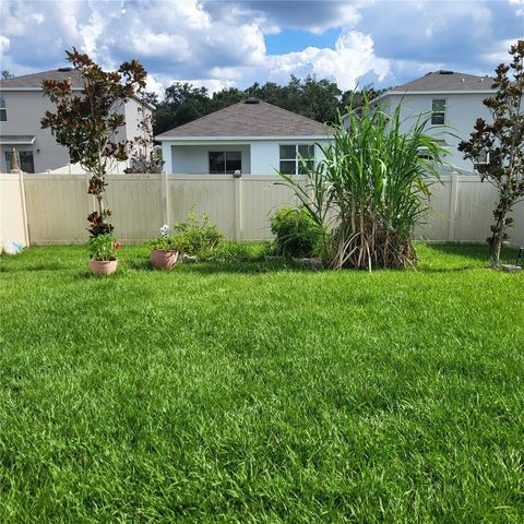 10836 TRAILING VINE DRIVE, Tampa, FL 33610