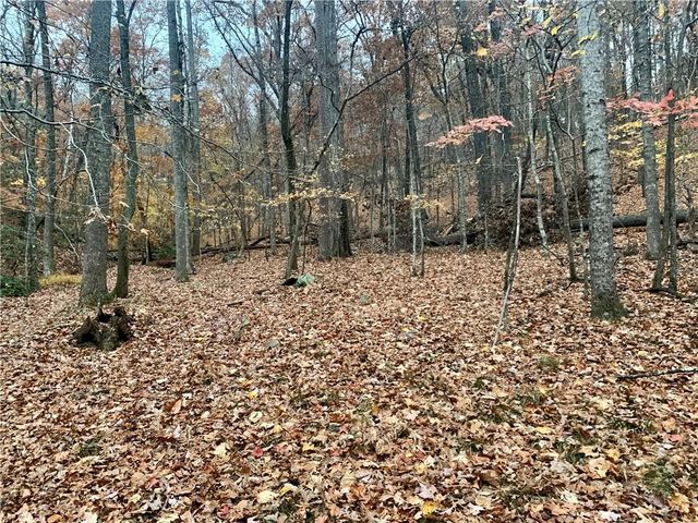 431 Tamarack Drive, Jasper, GA 30143