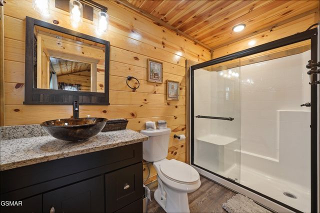 452 Alpine Mountain Way, Pigeon Forge, TN 37863