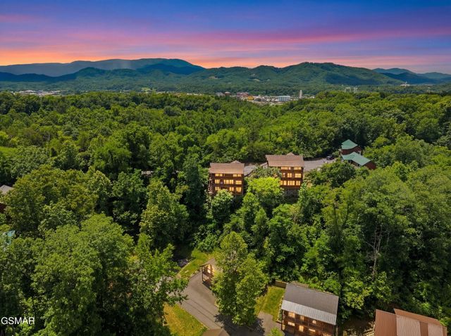 452 Alpine Mountain Way, Pigeon Forge, TN 37863