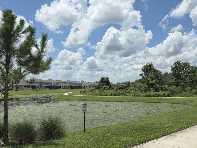 20865 DRAKE ELM DRIVE, Land O Lakes, FL 34638