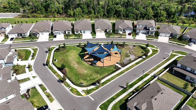 20865 DRAKE ELM DRIVE, Land O Lakes, FL 34638