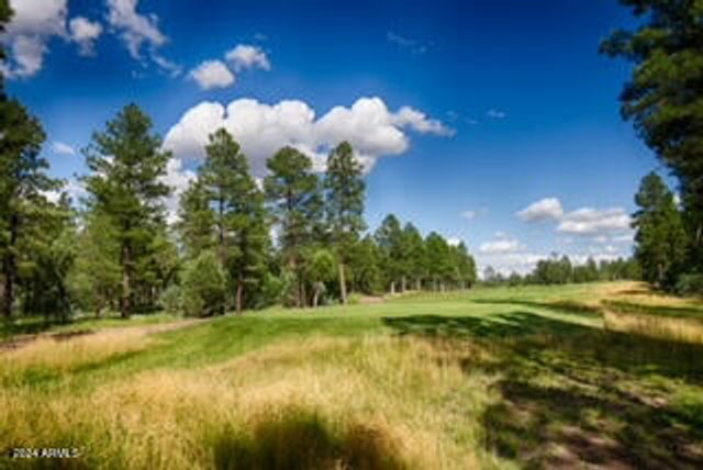 1640 S SPRUCE Lane, Show Low, AZ 85901