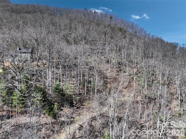 11 Taryn Trace 16, Barnardsville, NC 28709