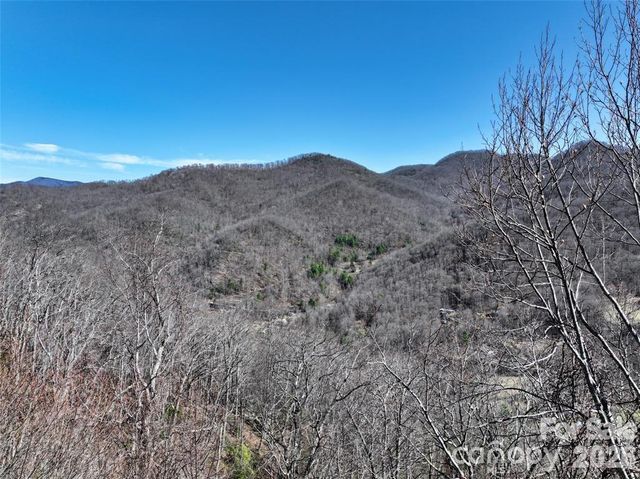 11 Taryn Trace 16, Barnardsville, NC 28709