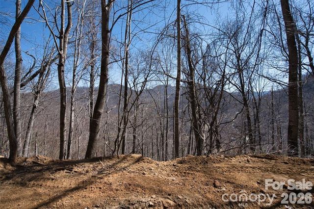 11 Taryn Trace 16, Barnardsville, NC 28709