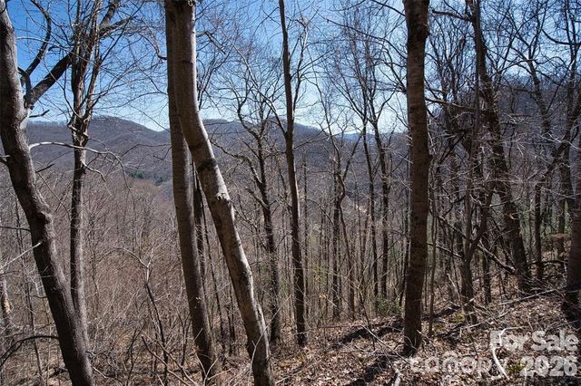 11 Taryn Trace 16, Barnardsville, NC 28709