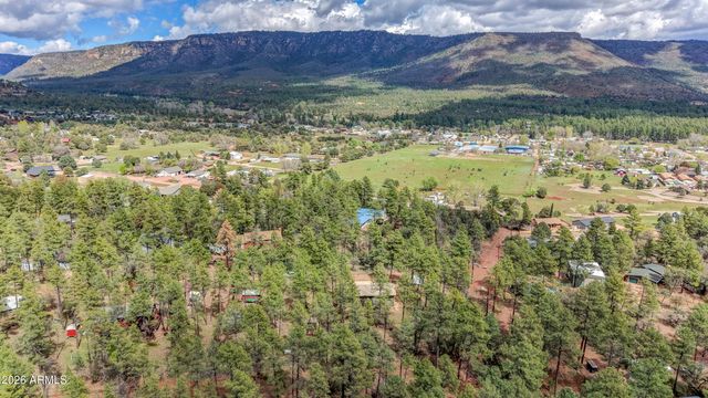 3830 N Pine Road, Pine, AZ 85544