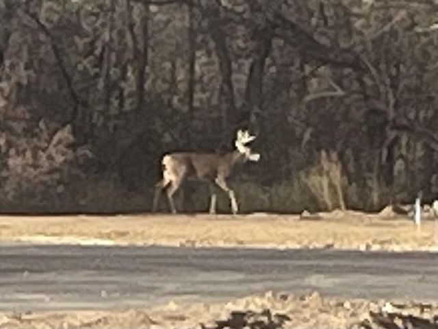 1220 Prairie Avenue, Janesville, WI 53545