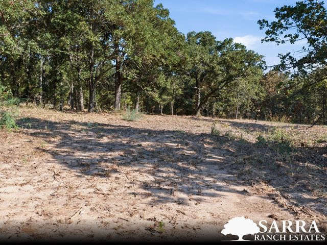 Lot 43 Antrim Court, Poolville, TX 76487