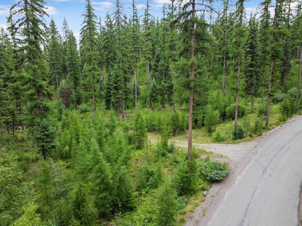 2265 Mountain Home Road, Whitefish, MT 59937 photo 13