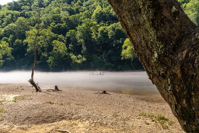 255 Wimbledon Drive 8, Branson, MO 65616