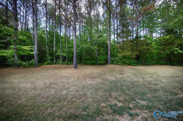 6525 Maysville Road, New Market, AL 35761