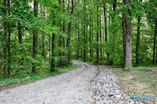 6525 Maysville Road, New Market, AL 35761