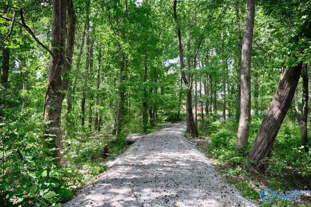6525 Maysville Road, New Market, AL 35761