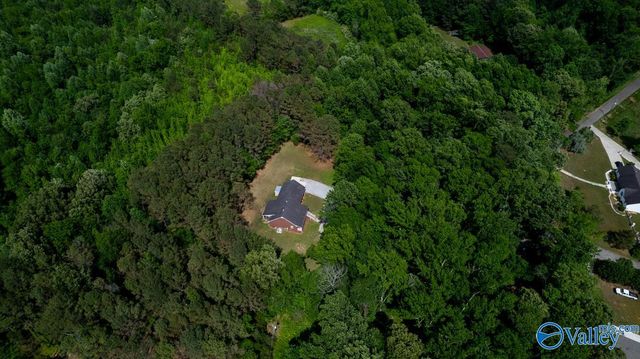 6525 Maysville Road, New Market, AL 35761