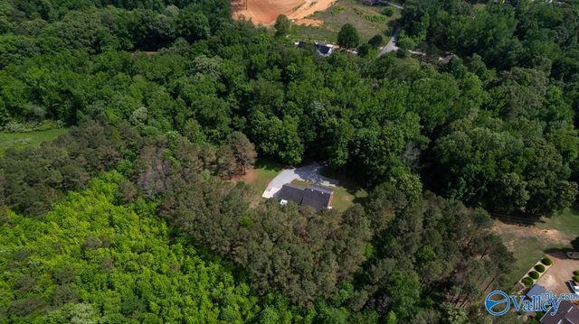 6525 Maysville Road, New Market, AL 35761
