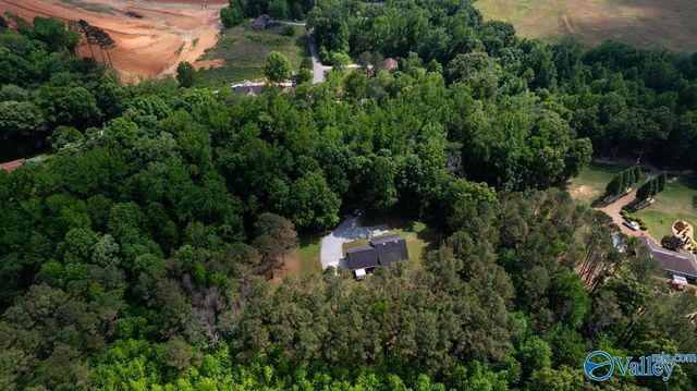 6525 Maysville Road, New Market, AL 35761