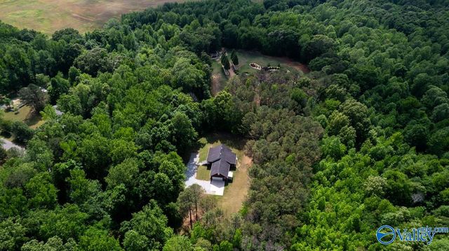 6525 Maysville Road, New Market, AL 35761