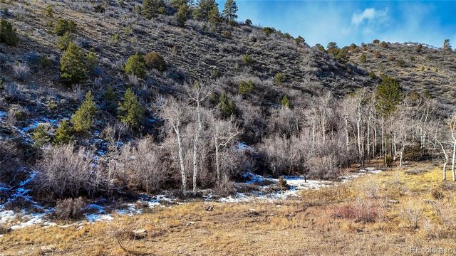 16955 Little River Lane, Salida, CO 81201