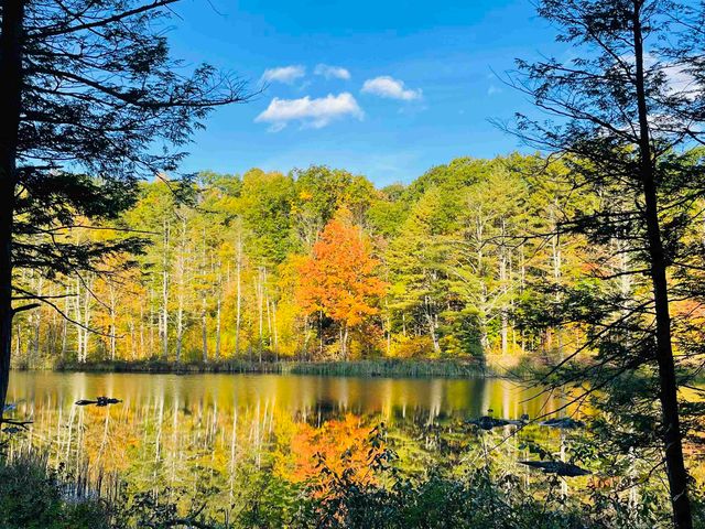 1260 Cider Mill Road, Shaftsbury, VT 05262