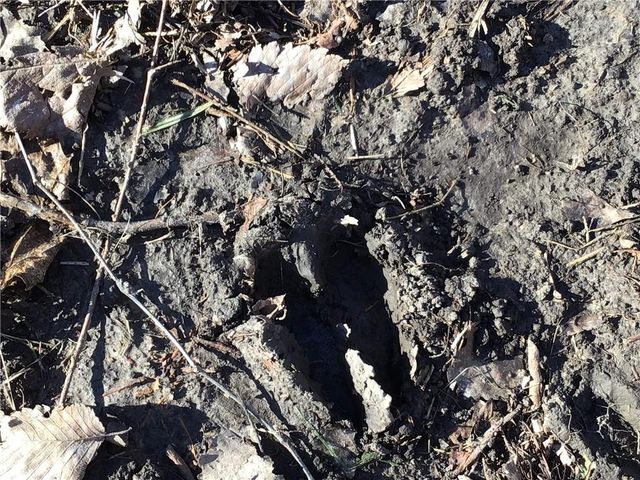 5811 Frederick Boulevard, St Joseph, MO 64507