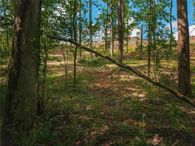 392 London Road, Ball Ground, GA 30107