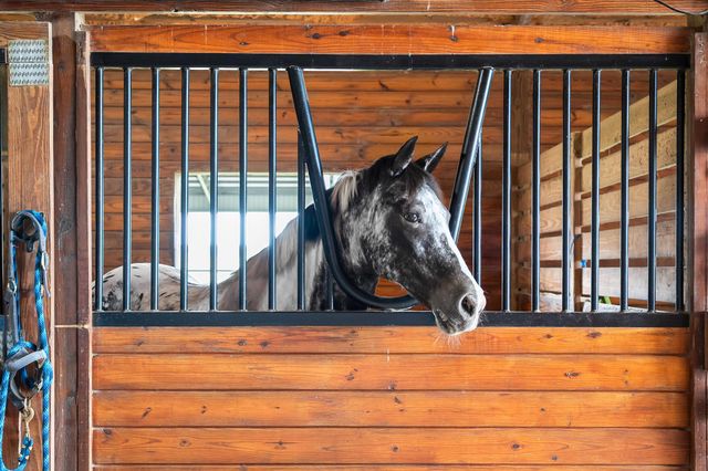 13700 SW Groveside Drive, Stuart, FL 34997