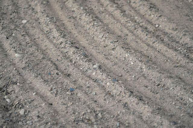 13700 SW Groveside Drive, Stuart, FL 34997