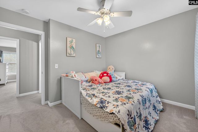 228 Weeping Cherry Lane, Columbia, SC 29212