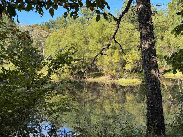 277 Clayton Drive, Bismarck, AR 72104