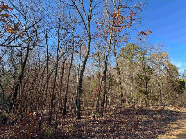 277 Clayton Drive, Bismarck, AR 72104