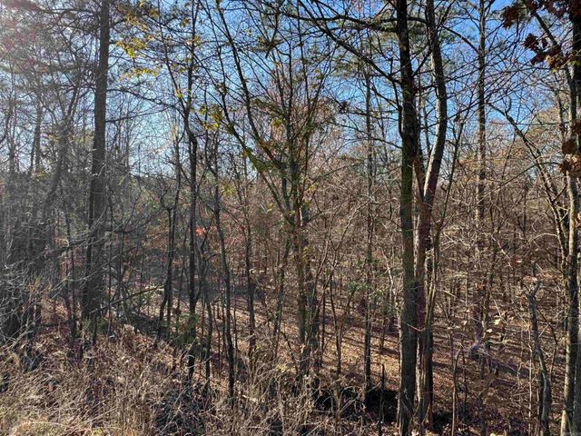 277 Clayton Drive, Bismarck, AR 72104