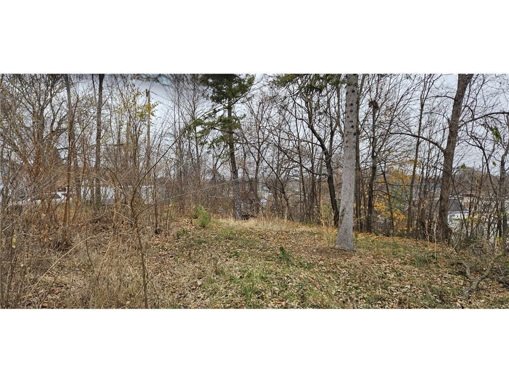 791 York Avenue, Saint Paul, MN 55106