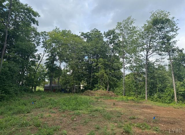 0 Dixie Airport Road, Madison Heights, VA 24572