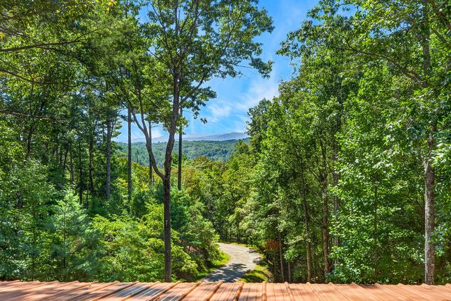 161 Walkabout Creek Road, Morganton, GA 30560