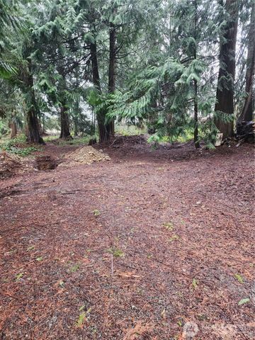 10115 226th Avenue Ct E, Buckley, WA 98321