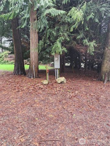 10115 226th Avenue Ct E, Buckley, WA 98321