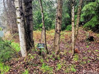 10115 226th Avenue Ct E, Buckley, WA 98321