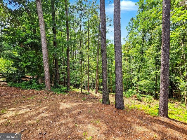 1345 Bentwater Drive, Acworth, GA 30101