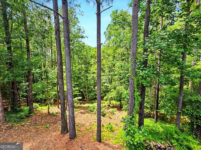 1345 Bentwater Drive, Acworth, GA 30101
